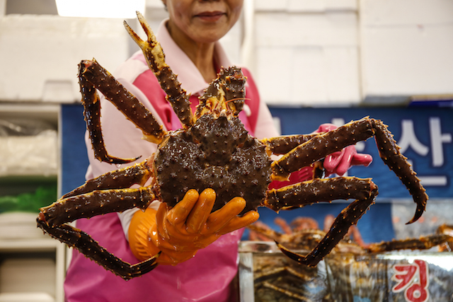 노량진 수산시장 킹크랩 태성수산 