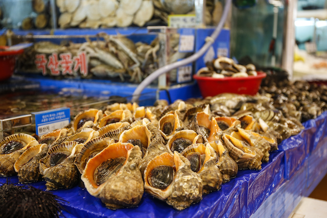 노량진 수산시장 킹크랩 태성수산 