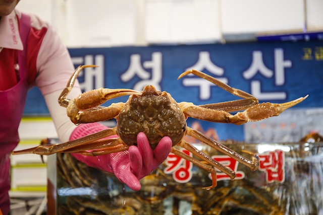 노량진 수산시장 킹크랩 태성수산 