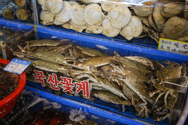 노량진 수산시장 킹크랩 태성수산 