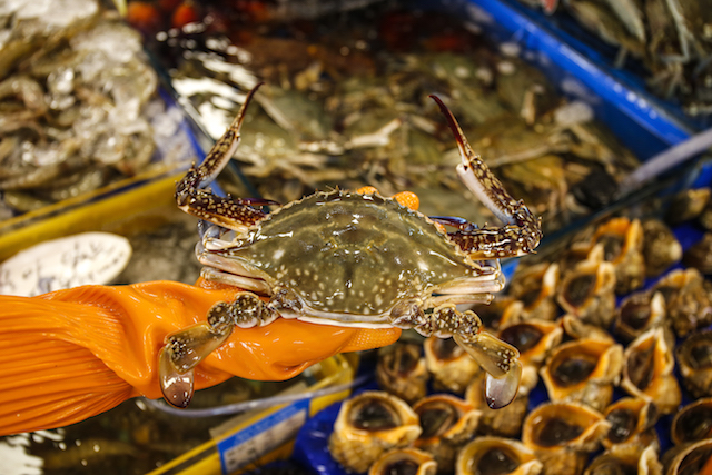 노량진 수산시장 킹크랩 태성수산 
